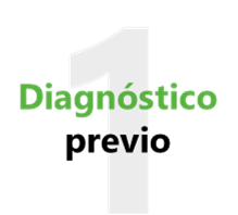 Diagnostico previo neotec